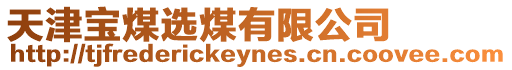 天津寶煤選煤有限公司