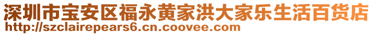 深圳市寶安區(qū)福永黃家洪大家樂生活百貨店