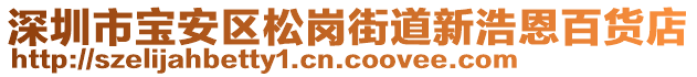 深圳市寶安區(qū)松崗街道新浩恩百貨店