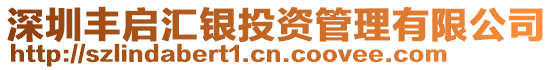 深圳豐啟匯銀投資管理有限公司