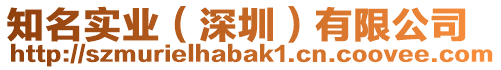 知名實(shí)業(yè)（深圳）有限公司