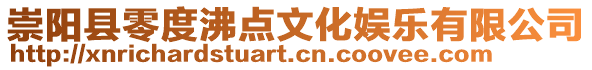 崇陽縣零度沸點文化娛樂有限公司