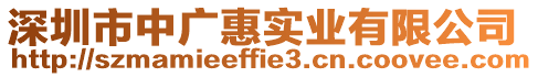 深圳市中廣惠實(shí)業(yè)有限公司