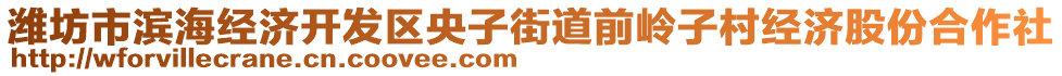 濰坊市濱海經(jīng)濟(jì)開(kāi)發(fā)區(qū)央子街道前嶺子村經(jīng)濟(jì)股份合作社