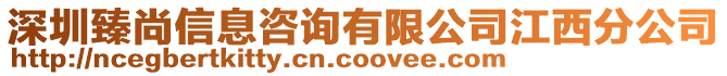 深圳臻尚信息咨詢有限公司江西分公司