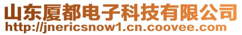 山東廈都電子科技有限公司