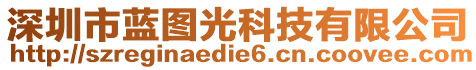 深圳市藍(lán)圖光科技有限公司