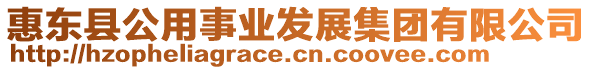 惠東縣公用事業(yè)發(fā)展集團(tuán)有限公司