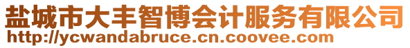 鹽城市大豐智博會(huì)計(jì)服務(wù)有限公司