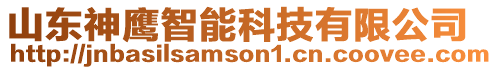 山東神鷹智能科技有限公司