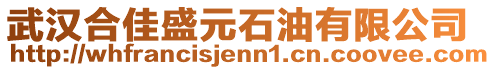 武漢合佳盛元石油有限公司