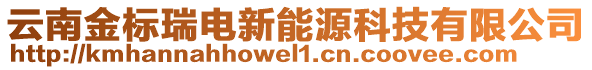 云南金標(biāo)瑞電新能源科技有限公司