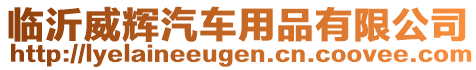 臨沂威輝汽車(chē)用品有限公司