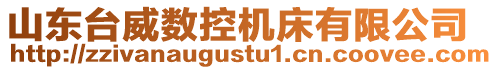 山東臺威數控機床有限公司