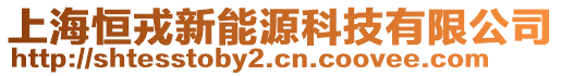 上海恒戎新能源科技有限公司