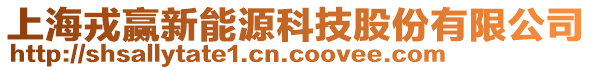 上海戎贏新能源科技股份有限公司