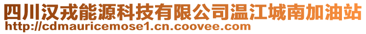 四川漢戎能源科技有限公司溫江城南加油站