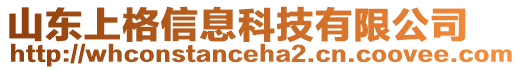 山東上格信息科技有限公司