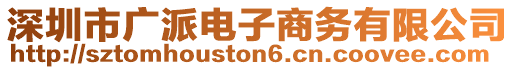 深圳市廣派電子商務(wù)有限公司