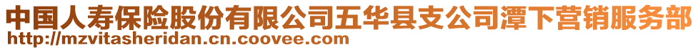 中國人壽保險股份有限公司五華縣支公司潭下營銷服務(wù)部