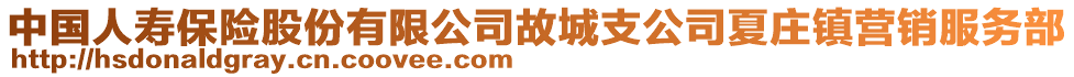 中國人壽保險股份有限公司故城支公司夏莊鎮(zhèn)營銷服務(wù)部