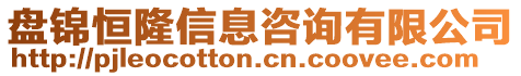 盤錦恒隆信息咨詢有限公司