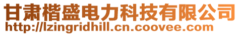 甘肅楷盛電力科技有限公司