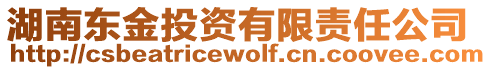 湖南東金投資有限責任公司