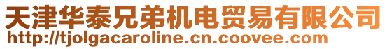 天津華泰兄弟機電貿(mào)易有限公司