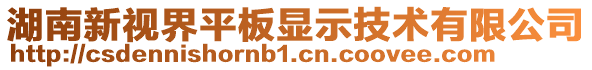 湖南新視界平板顯示技術有限公司