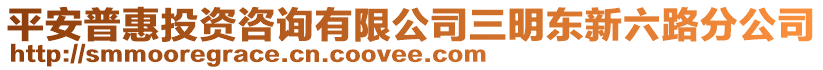 平安普惠投資咨詢有限公司三明東新六路分公司