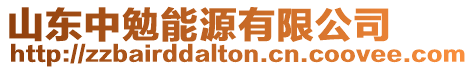 山東中勉能源有限公司