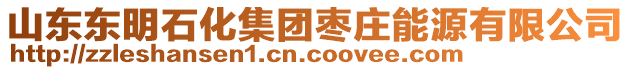 山东东明石化集团枣庄能源有限公司