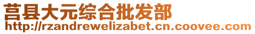 莒縣大元綜合批發(fā)部