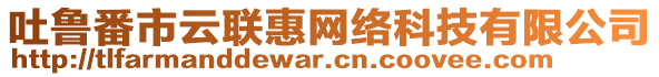 吐魯番市云聯(lián)惠網(wǎng)絡(luò)科技有限公司