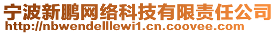 寧波新鵬網(wǎng)絡(luò)科技有限責(zé)任公司