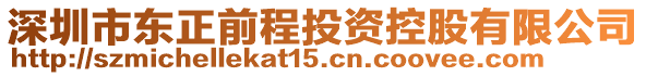 深圳市東正前程投資控股有限公司