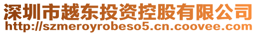 深圳市越東投資控股有限公司