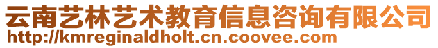 云南藝林藝術教育信息咨詢有限公司