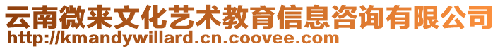 云南微來文化藝術教育信息咨詢有限公司
