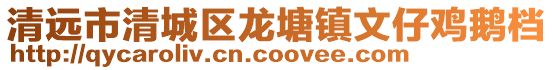 清遠(yuǎn)市清城區(qū)龍?zhí)伶?zhèn)文仔雞鵝檔