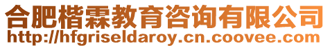 合肥楷霖教育咨詢有限公司
