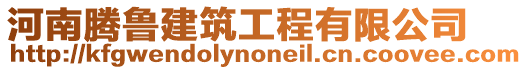 河南騰魯建筑工程有限公司