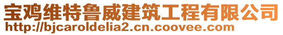 寶雞維特魯威建筑工程有限公司