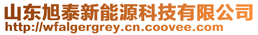 山東旭泰新能源科技有限公司
