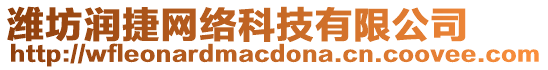 濰坊潤捷網絡科技有限公司