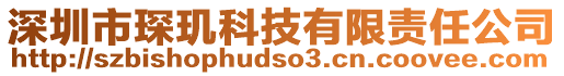 深圳市琛璣科技有限責(zé)任公司