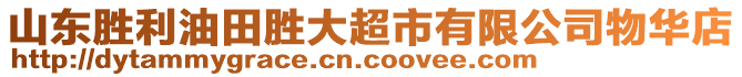 山東勝利油田勝大超市有限公司物華店