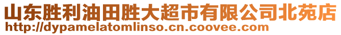 山東勝利油田勝大超市有限公司北苑店