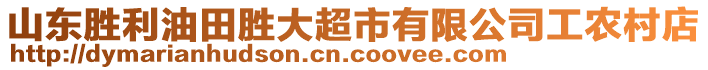 山東勝利油田勝大超市有限公司工農村店